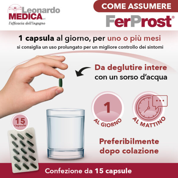 FerProst® - immagine 2